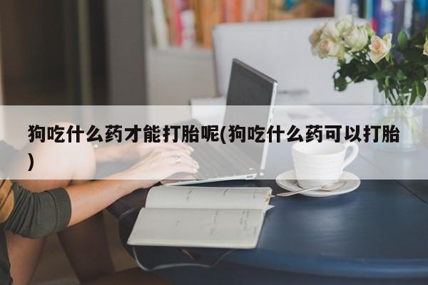 流产药联系微信狗吃什么药才能打胎呢(狗吃什么药可以打胎)