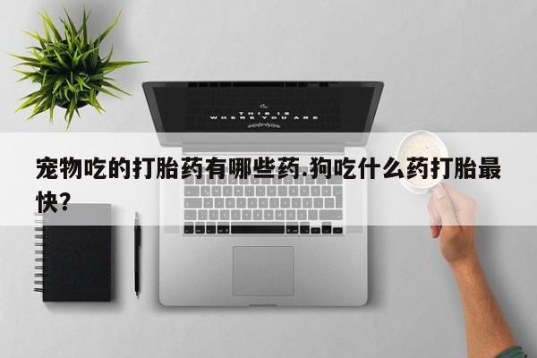 流产药联系微信宠物吃的打胎药有哪些药.狗吃什么药打胎最快？