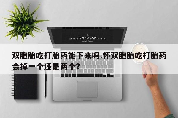 流产药联系微信双胞胎吃打胎药能下来吗.怀双胞胎吃打胎药会掉一个还是两个？