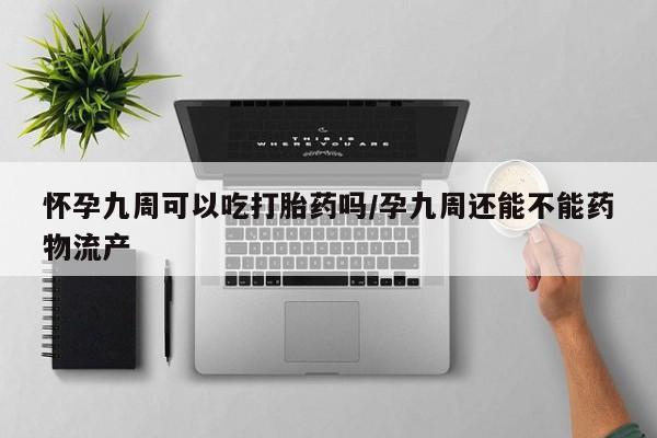 流产药联系微信怀孕九周可以吃打胎药吗/孕九周还能不能药物流产