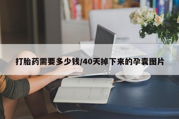 流产药联系微信打胎药需要多少钱/40天掉下来的孕囊图片