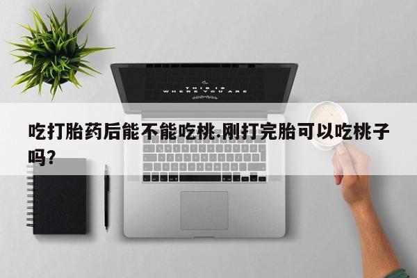 流产药联系微信吃打胎药后能不能吃桃.刚打完胎可以吃桃子吗？