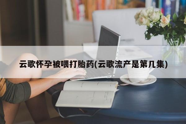流产药联系微信云歌怀孕被喂打胎药(云歌流产是第几集)