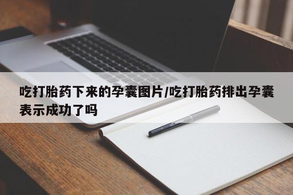 流产药联系微信吃打胎药下来的孕囊图片/吃打胎药排出孕囊表示成功了吗